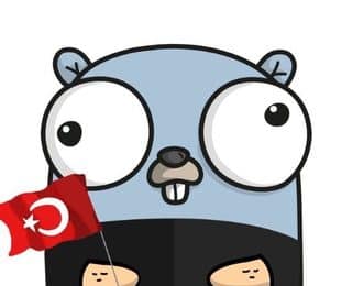 Golang Türkiye
